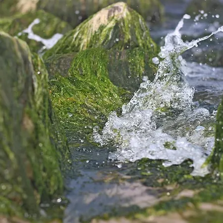 Spacerowa شقة كولوبرزيغ