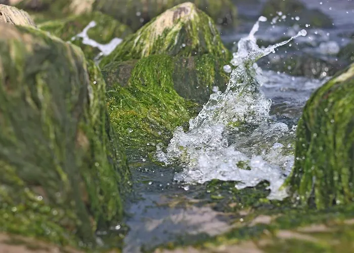 Spacerowa 아파트 코워브제크